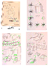 large picture and description